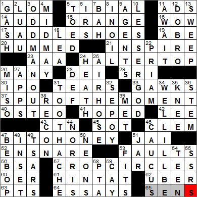 1203-13 New York Times Crossword Answers 3 Dec 13, Tuesday