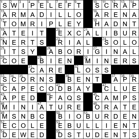 0225-17 New York Times Crossword Answers 25 Feb 17, Saturday